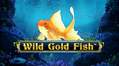 Wild Gold Fish